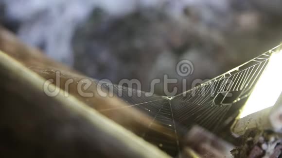 蜘蛛网架将网槽对准岩石视频的预览图