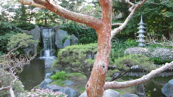 日本花园瀑布视频的预览图