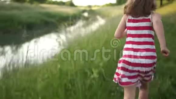 一个卷曲的女孩和她的狗正沿着小径在绿草中奔跑暑假快乐的家庭假期这就是视频的预览图