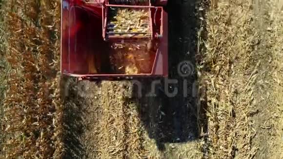 高空俯视图联合收割机在初秋收获玉米田大红色拖拉机视频的预览图