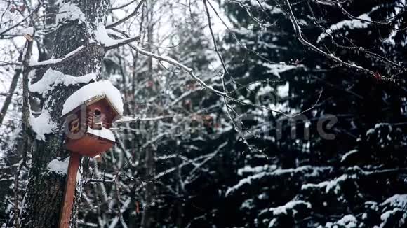 在白雪皑皑的森林公园里挂着鸟儿的鸟舍视频的预览图
