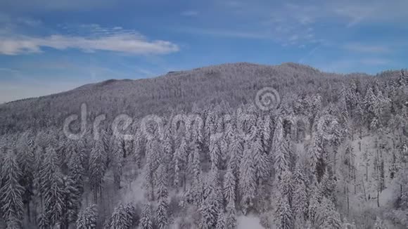 4k鸟瞰冰冻森林冬季奇观地冬季漫步地视频的预览图