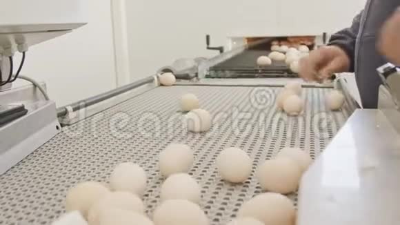 大型养鸡场传送带上的鸡蛋视频的预览图