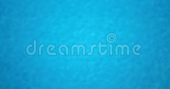 在4K高分辨率视频中多莉从鸟的眼睛从游泳池上的无人机看到蓝色清澈的水视频的预览图