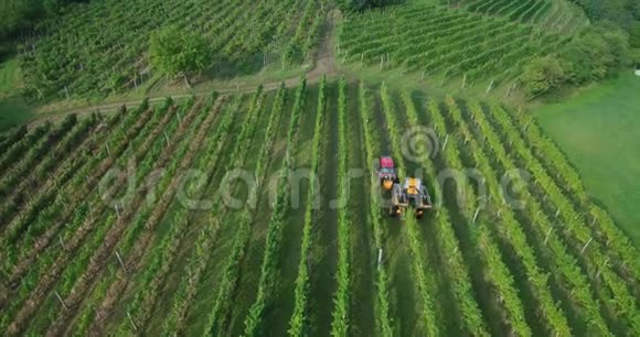 秋季用机械拖拉机在葡萄园收获葡萄的4k空中镜头视频的预览图