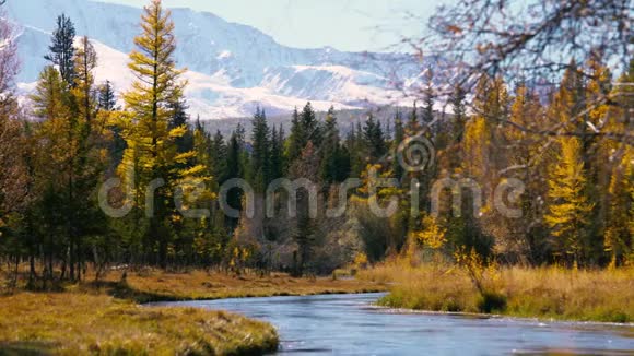 美丽的山景暴风雨的河流秋天的树木和雪山的背景视频的预览图