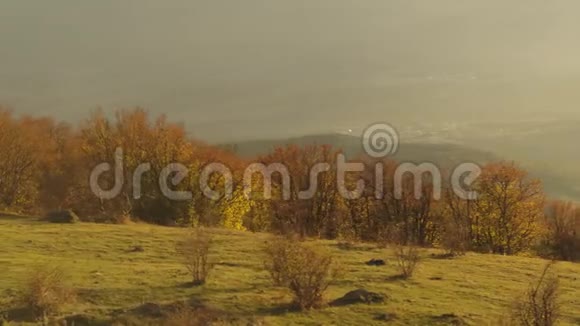 在夕阳的天空背景下从一个陡峭的茂密的山坡上俯瞰风景如画的秋天山谷射击壮观的山视频的预览图