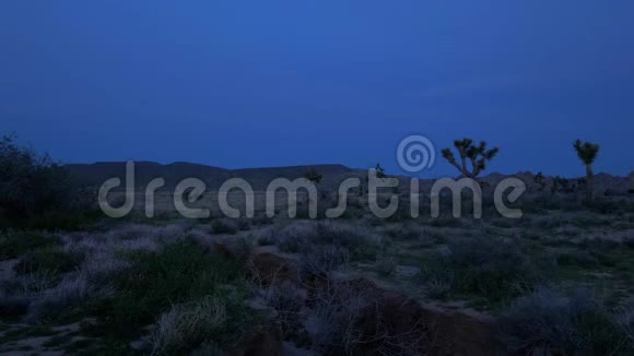 夜晚的内华达沙漠视频的预览图