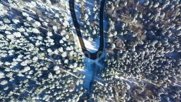 在冰冻的常绿森林中的一条弯曲的道路上视频的预览图