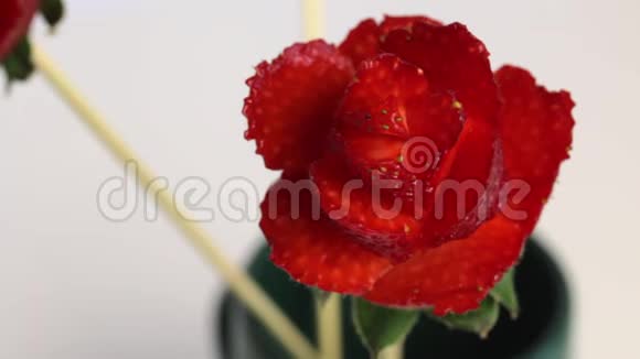 用草莓做的玫瑰草莓穿在棍子上花瓣是用刀子做的视频的预览图