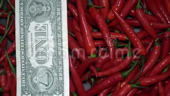 许多红辣椒辣椒与美国国家货币美元轮换视频的预览图