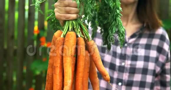 成熟的女人拿着胡萝卜蔬菜4k视频的预览图