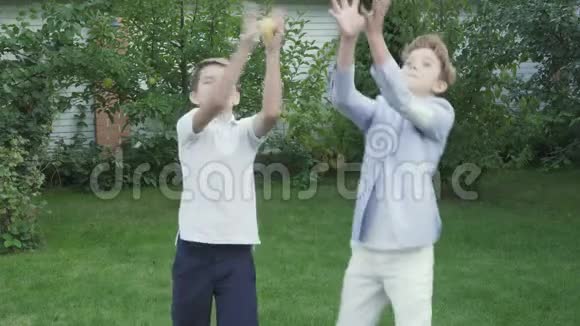 两个小男孩在花园里吃梨视频的预览图
