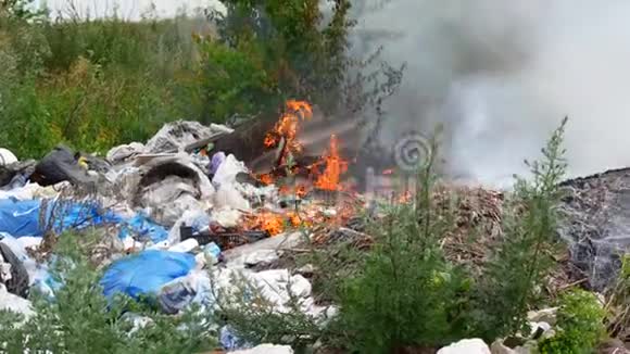 在垃圾场开火焚烧垃圾生态面临危险视频的预览图