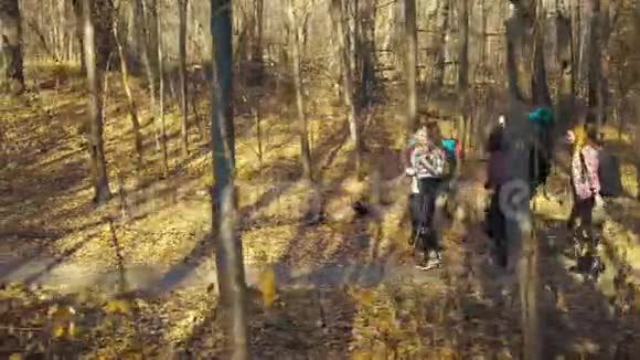 积极的朋友在秋天的森林徒步旅行背着背包视频的预览图