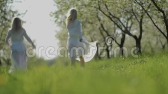 阳光明媚的一天两个迷人的女孩正在花圃里散步视频的预览图