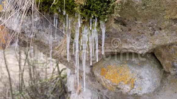 青苔和石块春天的冰滴滴视频的预览图
