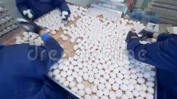 人们在家禽养殖场包装鸡蛋俯视图视频的预览图