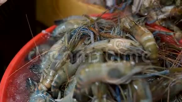 亚洲新鲜海鲜虾和螃蟹的特写躺在冰上视频的预览图