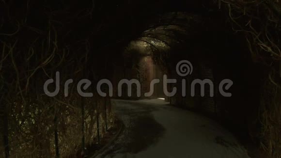 秘密花园里的隧道视频的预览图