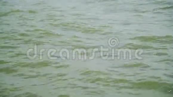 海上波浪背景视频的预览图