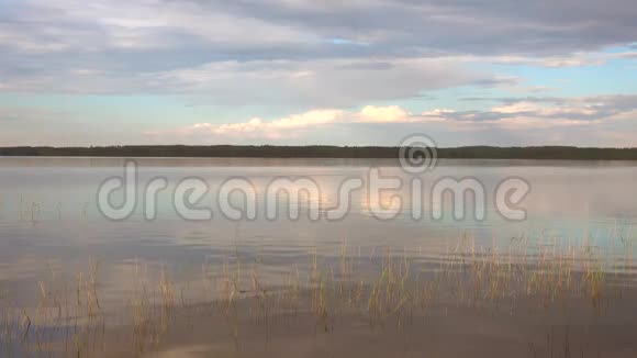 普拉维西湖上六月的黄昏芬兰视频的预览图