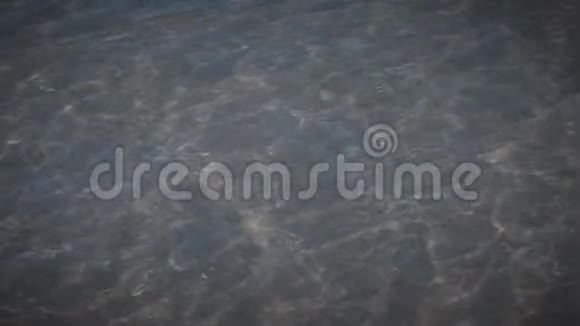 阳光在浅海的海浪中闪烁沙子可以透过清澈的海水看到视频的预览图