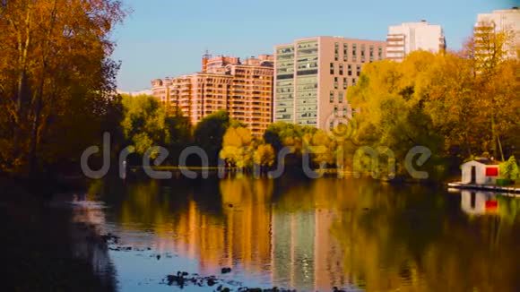秋天城市里的湖水倒映着树木视频的预览图