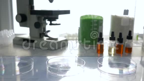 化学实验室将手臂放入橡胶手套将试剂从试管中倒入实验室桌上的培养皿中视频的预览图