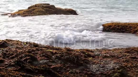 海水海浪心情假期视频的预览图