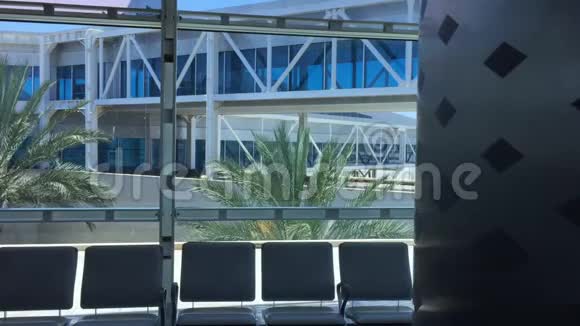全景窗口可以看到棕榈树和机场飞机的大门机场背景可观看窗户视频的预览图