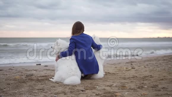 两只白色的狗和年轻的女人坐在海边的沙滩上白色毛茸茸的宠物视频的预览图
