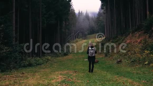 镜头跟随年轻女孩徒步旅行者在森林景观的背景下走在户外山上有高大的树木视频的预览图