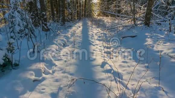 冬林与日倾斜时移视频的预览图