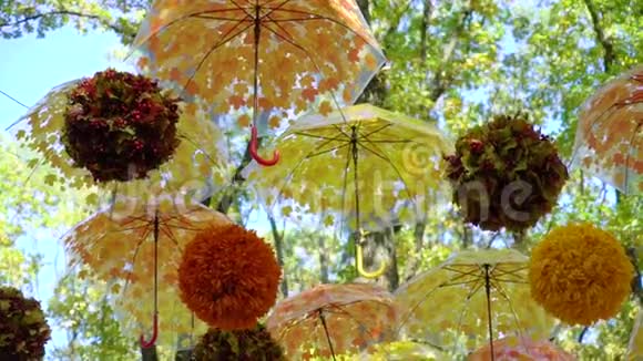 秋天公园里许多鲜艳的橙色和黄色的雨伞和球在风中悬挂和移动视频的预览图