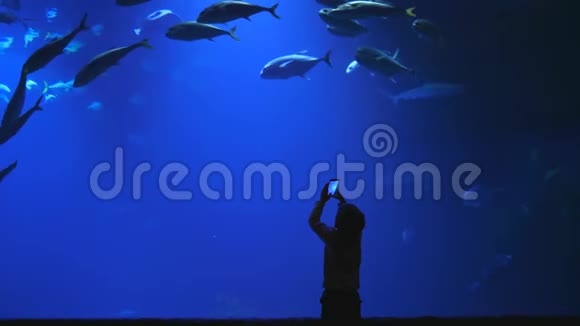 小男孩用一部现代化的手机拍大型水族馆的照片视频的预览图
