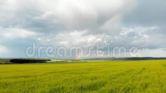 飞过黄野看彩虹阳光明媚的雨天四架飞机的空中摄影视频的预览图