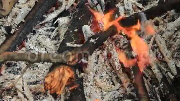在燃烧野营之火视频的预览图