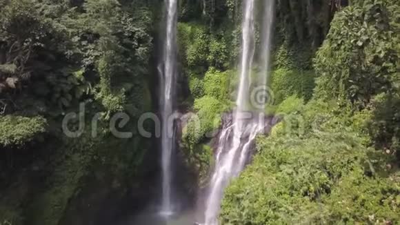 从森林的鸟瞰野生动物的壮丽景色可怕的瀑布把它的水倒了下来视频的预览图