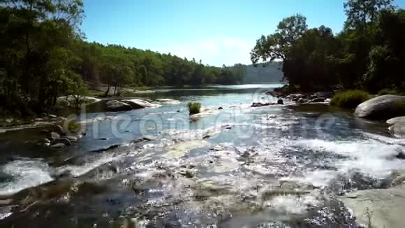 河溪和阳光照射在丛林中视频的预览图