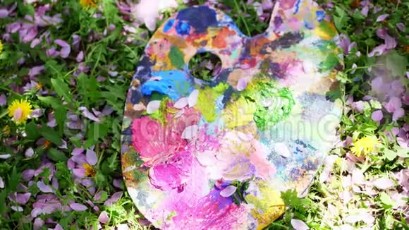 特写在绿草上躺着一个木制的调色板上面画着彩色的颜料从上面粉红色的樱桃花瓣落下视频的预览图