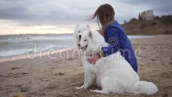 一个年轻的女人坐在沙滩上拥抱她在海边的萨莫伊德品种的狗其中一个开始视频的预览图