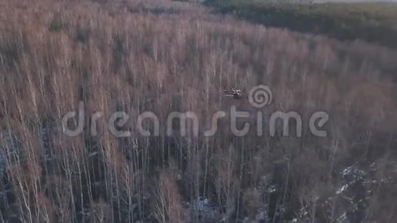 空中观看黑色四翼飞机在树顶上空飞行拍摄冬季或春季森林的录像视频的预览图