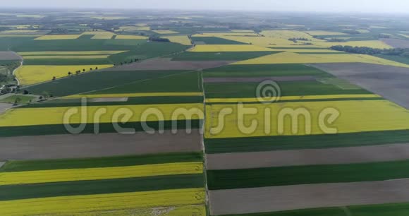 各种农业类型的农田呈黄白色和绿色空中拍摄视频的预览图