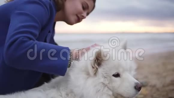 一只白色的毛茸茸的狗和一个女孩坐在海滩上玩得很开心年轻女子坐在沙滩上拥抱她视频的预览图