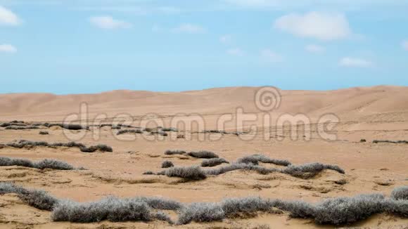 时间推移拍摄蓝色多云天空下的蒂兰迪亚植物沙漠景观视频的预览图