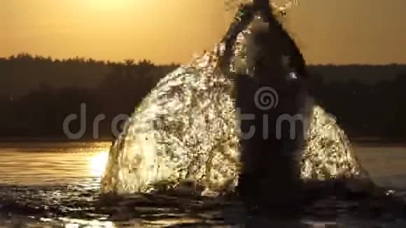滑稽的人在日落时举起湖水来娱乐视频的预览图