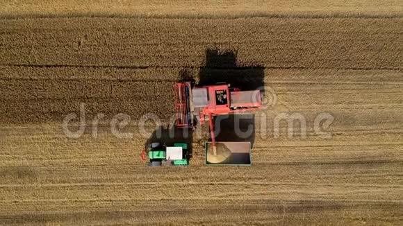 在拖拉机拖车上装载谷物的作物上看到收割机的空中景色视频的预览图