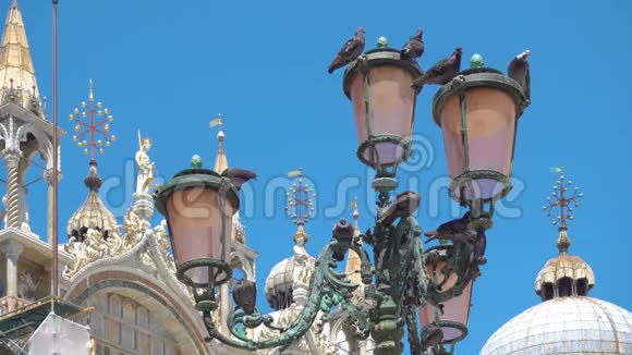 威尼斯街头灯笼上的鸽子视频的预览图