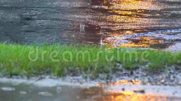 路上大雨的特写镜头沥青上的雨滴视频的预览图